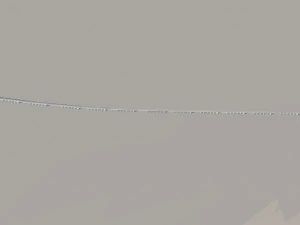 Build the bridge 3D Model