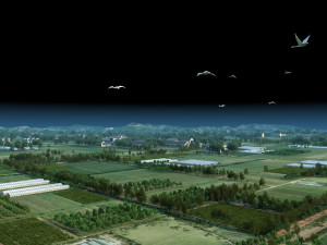 Farmland Model 3D