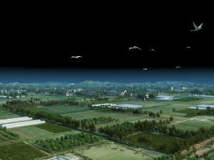Farmland 3D Model