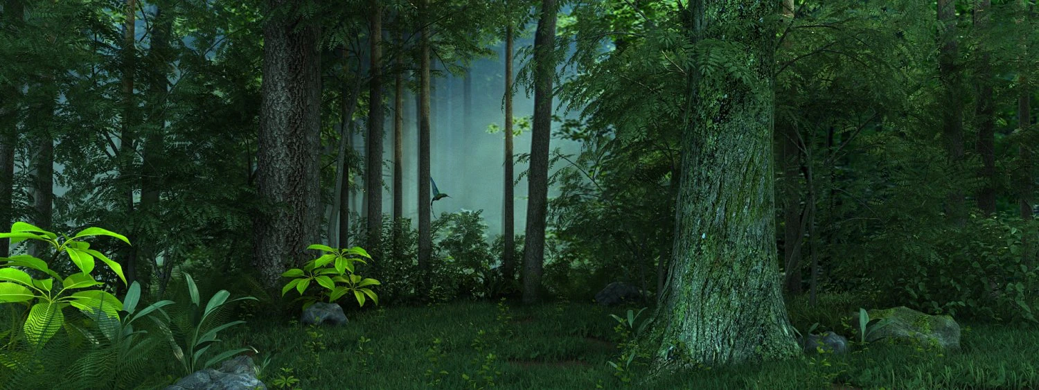Forest 3D Model .c4d .max .obj .3ds .fbx .stl .blend 