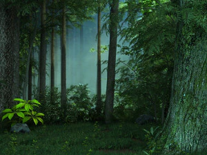 Forest 3D Model