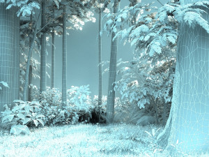 Forest Modèle 3D