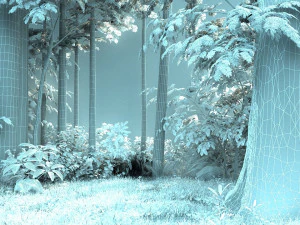 Forest 3D Model