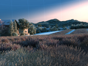 Lavender 3D मॉडल