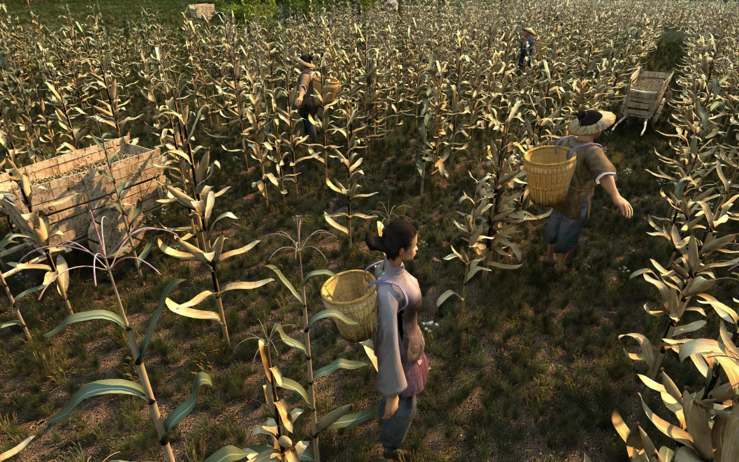 Corn field 3D Model .c4d .max .obj .3ds .fbx .stl .blend