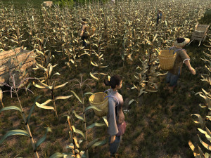 Corn field 3D मॉडल
