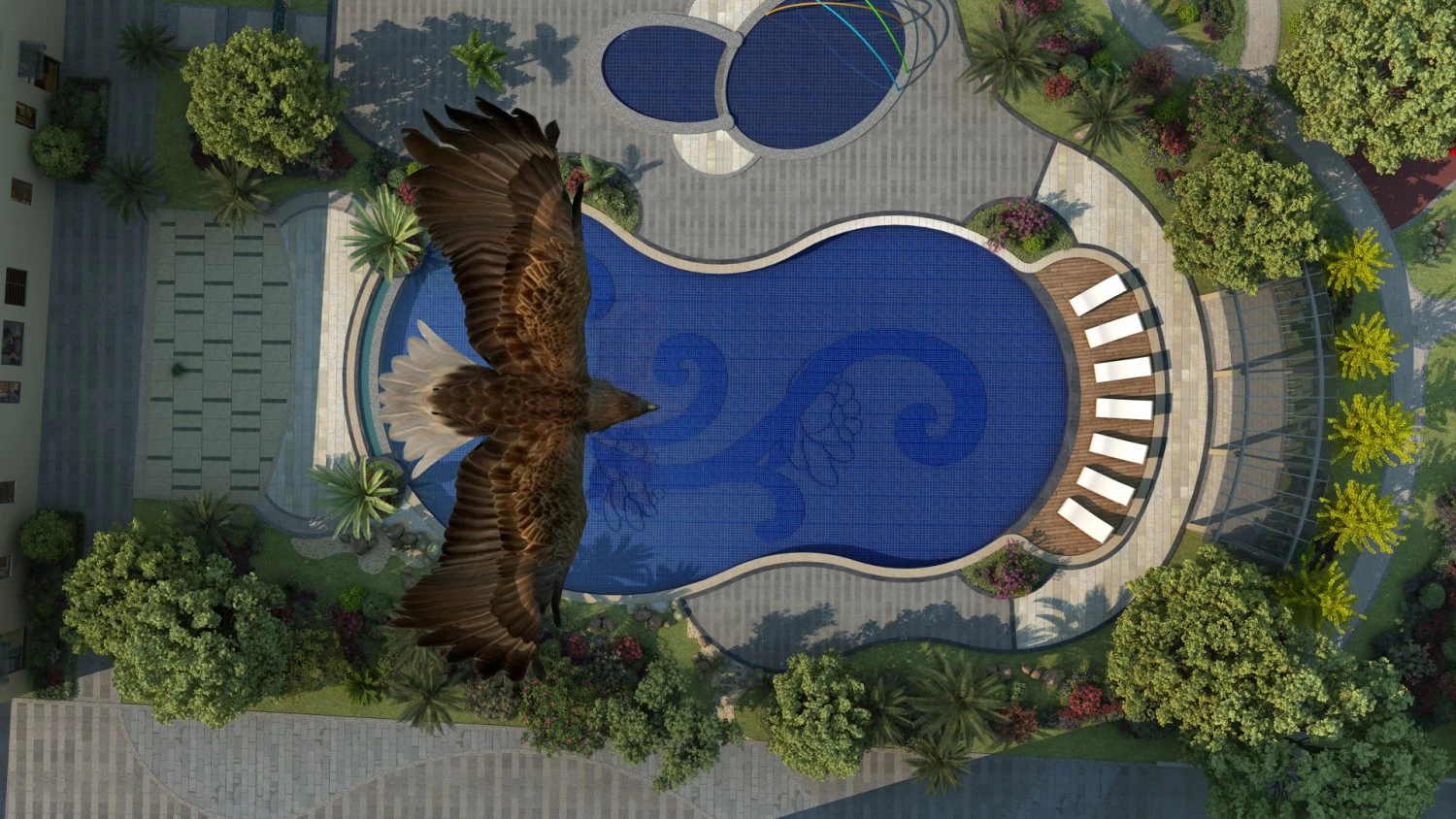 Eagle 3D Model .c4d .max .obj .3ds .fbx .stl .blend 