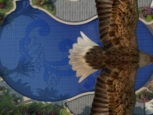 Eagle Modello 3D