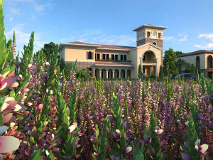 Garden 3D Model