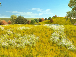 Grassland Modelo 3D