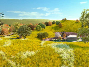 Grassland 3D Model