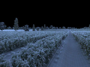 Vegetable garden 3D Model