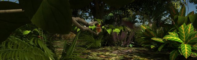 Rainforest Modèle 3D .c4d .max .obj .3ds .fbx .stl .blend 