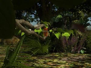 Yağmur ormanı 3D Model