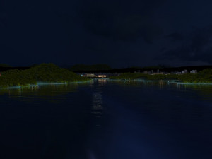 Night view by the lake 3D Модель
