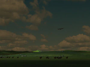 Grassland 3D Model