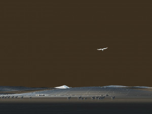 Grassland 3D Модель