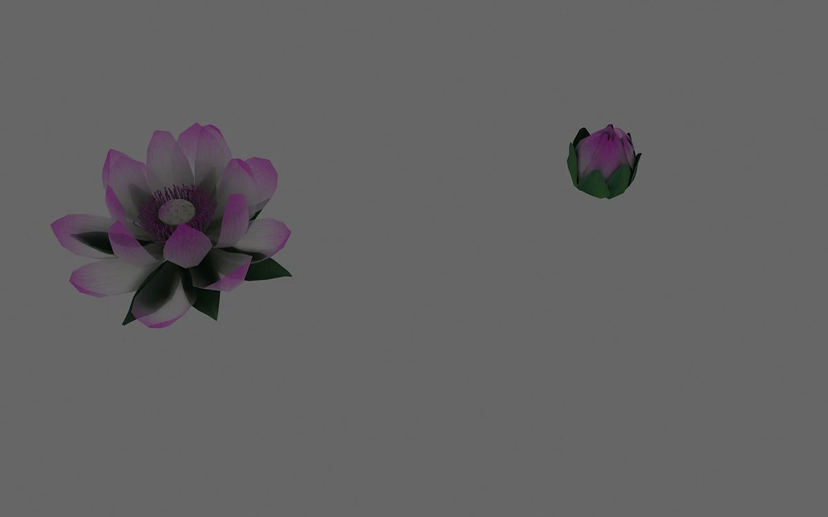 Lotus 3D Model .c4d .max .obj .3ds .fbx .stl .blend