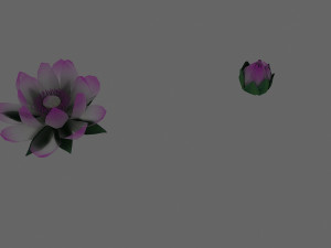 Lotus Modèle 3D