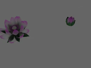 Lotus 3D मॉडल