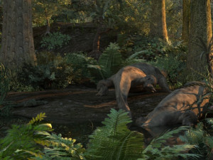 Virgin forest 3D 模型