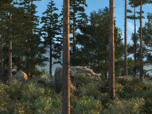 Virgin forest 3D 模型