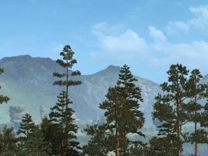 Virgin forest 3D 模型