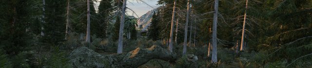 Virgin forest 3D 模型 .c4d .max .obj .3ds .fbx .stl .blend 