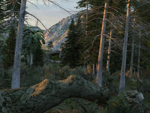 Virgin forest 3D Model