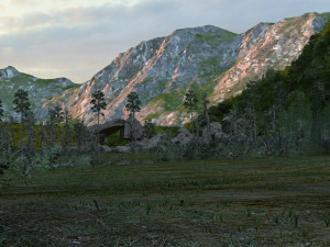 Virgin forest 3D 模型