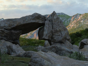 Virgin forest 3D 模型