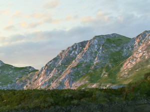 Virgin forest 3D 模型