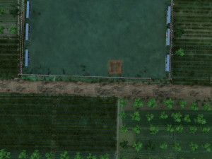 Rural area 3D Model