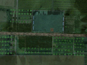 Rural area 3D Model