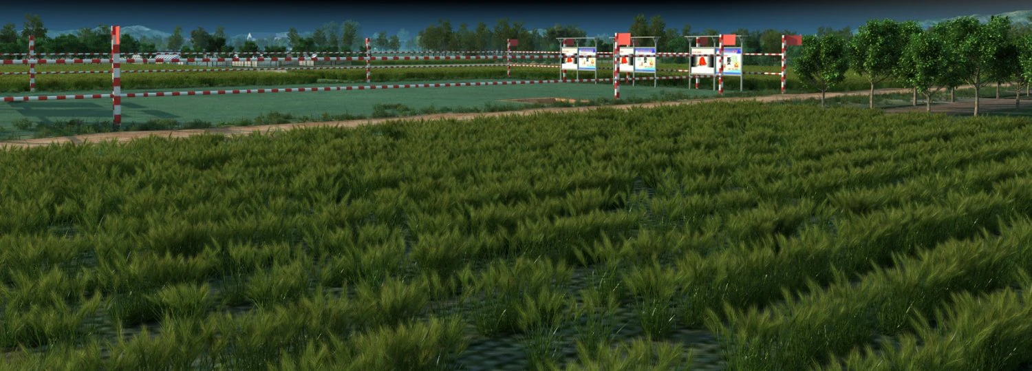Rural area 3D Model .c4d .max .obj .3ds .fbx .stl .blend 