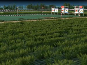 Rural area 3D Model