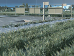 Rural area 3D Model