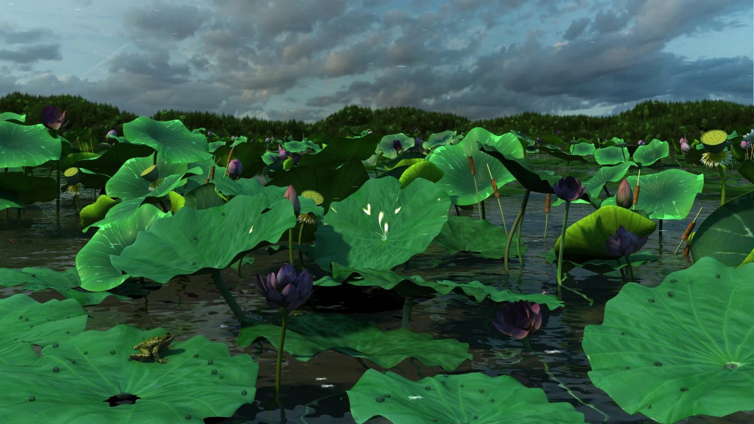 Lotus Pond 3D Model .c4d .max .obj .3ds .fbx .stl .blend 