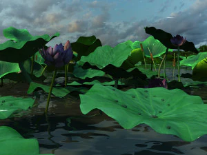 Lotus Pond 3D Model