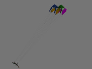 Surf 3D 模型