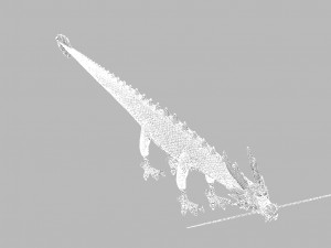 Dragon 3D Model
