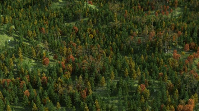 Red pine forest 3D Model .c4d .max .obj .3ds .fbx .stl .blend 