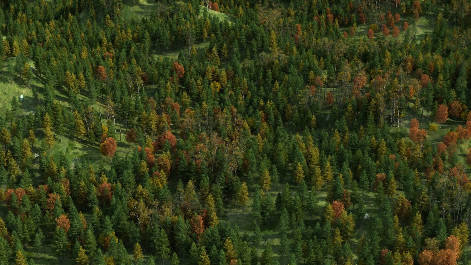 Red pine forest 3D Model .c4d .max .obj .3ds .fbx .stl .blend 