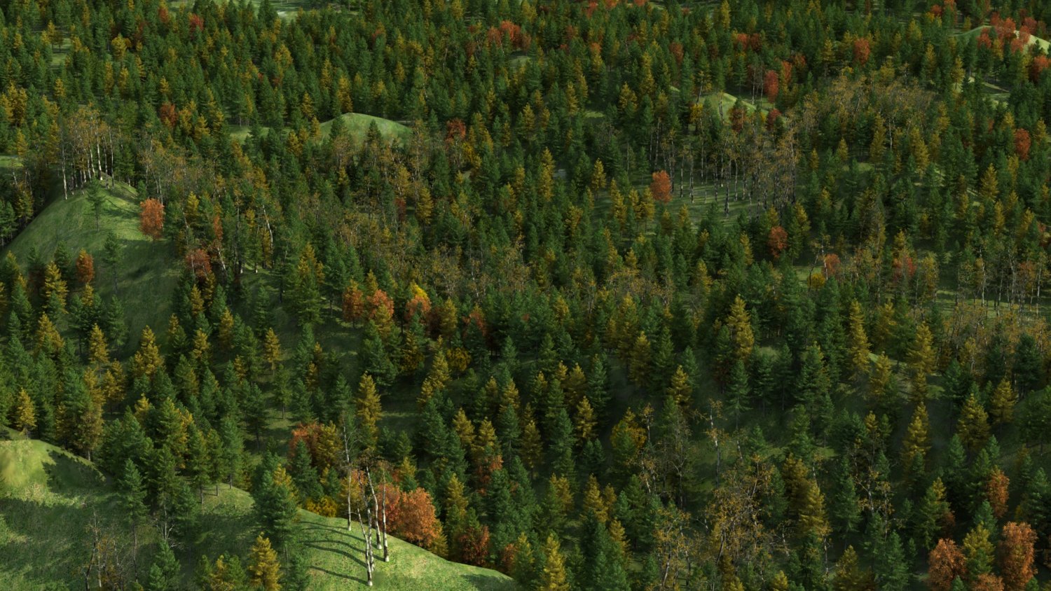 Лес 3д модель