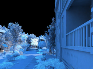 Snow scene Model 3D