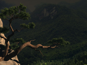 Pine tree Modelo 3D