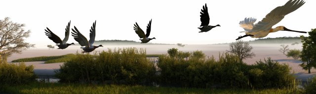 Wetlands 3D Model .c4d .max .obj .3ds .fbx .stl .blend