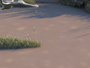 Wetlands 3D Model