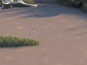 Wetlands 3D Model