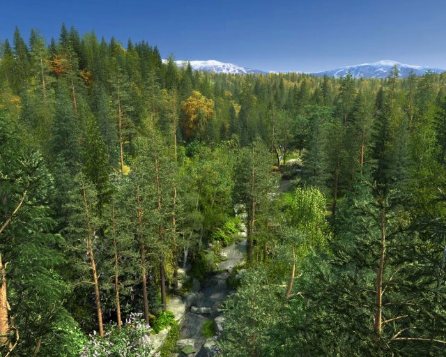 Forest Model 3D .c4d .max .obj .3ds .fbx .stl .blend